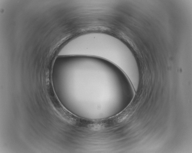X0000073920356200608111011