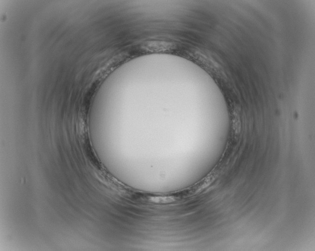 X0000073920371200608111011
