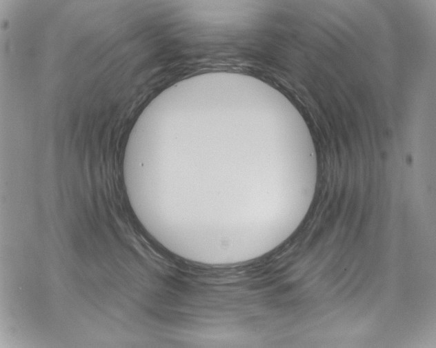 X0000073920380200608111011
