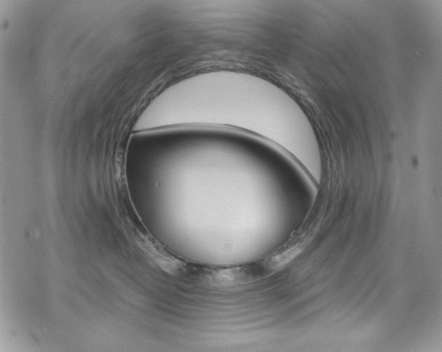 X0000073920382200608111011