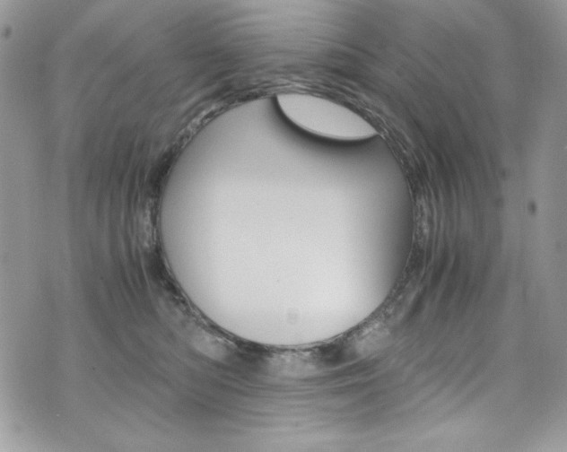 X0000073920422200608111010