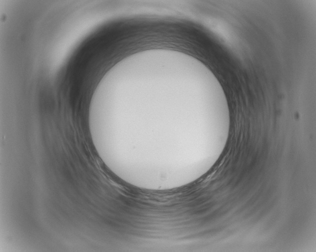 X0000073920431200608111009