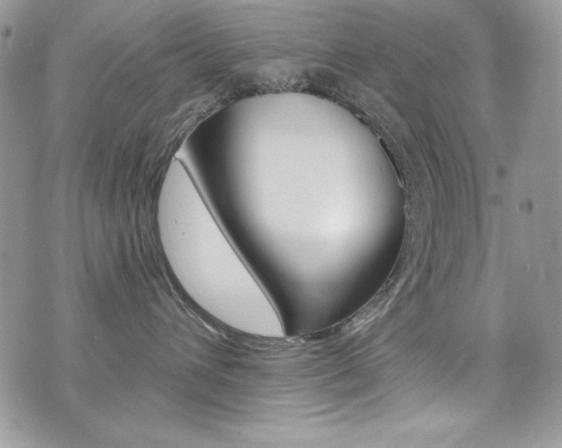 X0000073920432200608111009