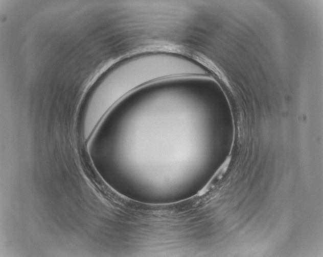 X0000073920436200608111009
