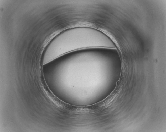 X0000073920437200608111009