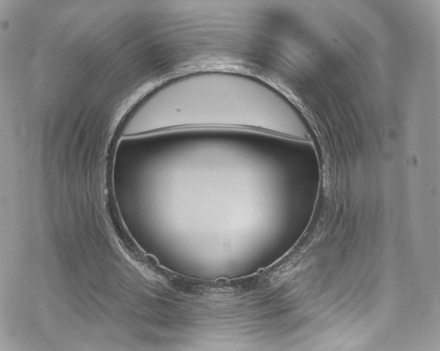 X0000073920438200608111009