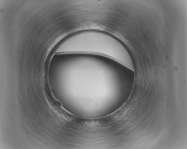 X0000073920440200608111009