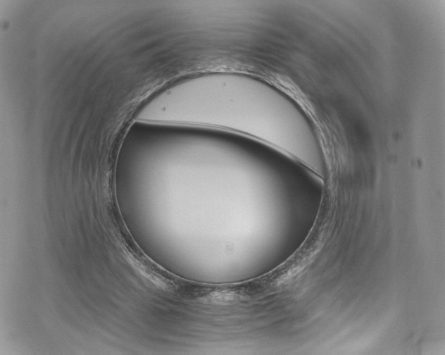 X0000073920441200608111009