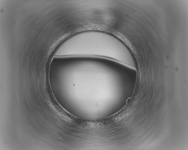 X0000073920442200608111009