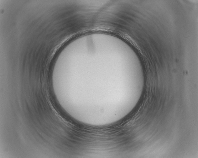 X0000073920444200608111009