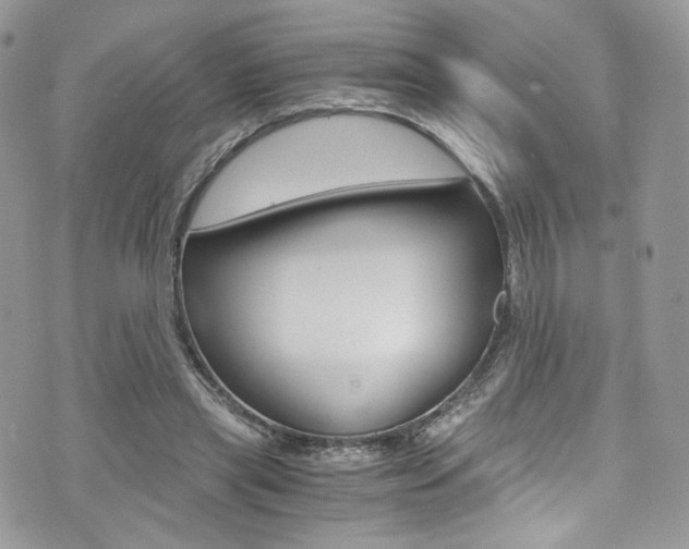 X0000073920445200608111009