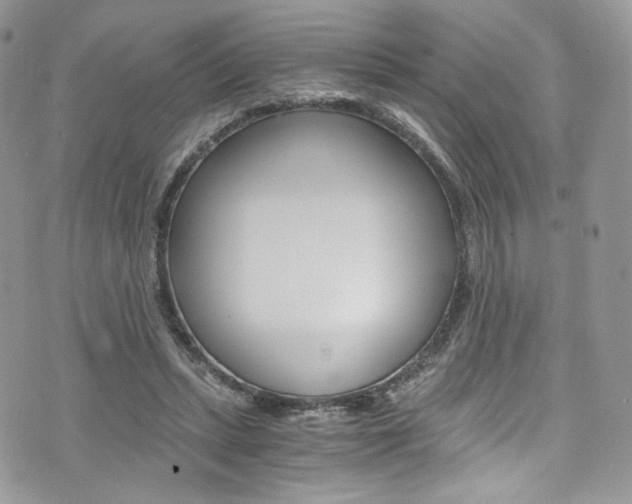 X0000073920447200608111009