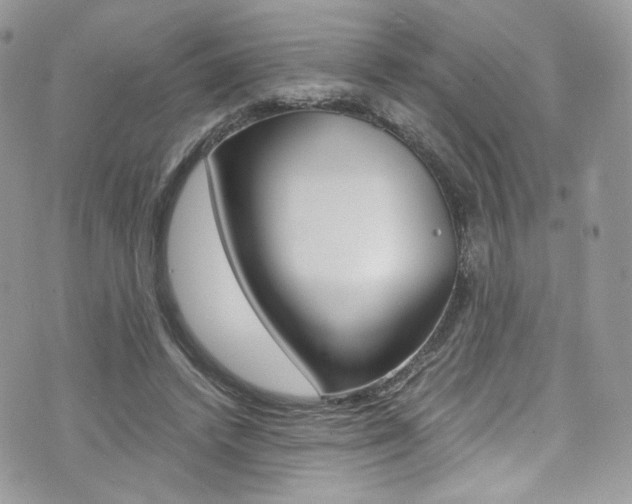 X0000073920448200608111009