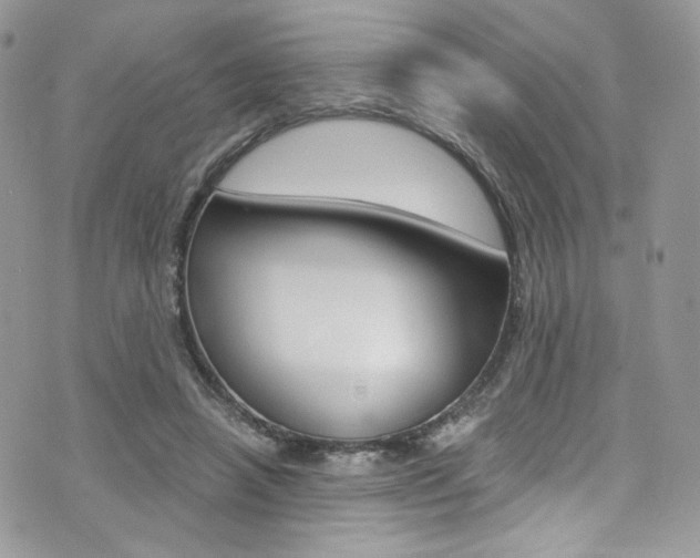 X0000073920450200608111009