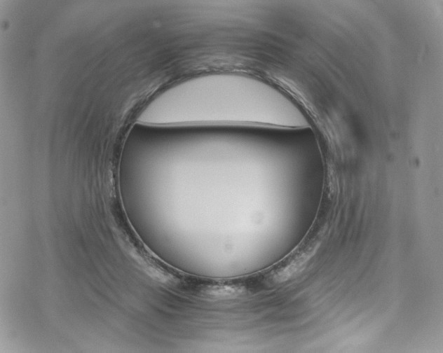 X0000073920453200608111009