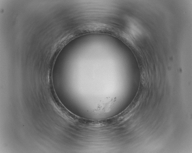 X0000073920454200608111009