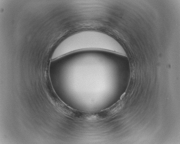 X0000073920456200608111009