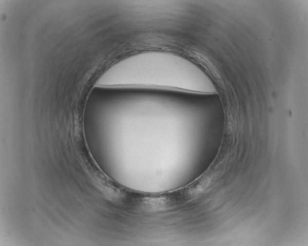 X0000073920457200608111009