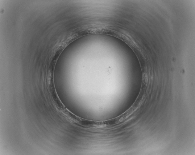 X0000073920458200608111009