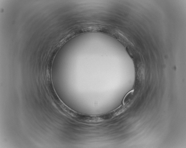 X0000073920459200608111009