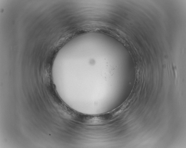 X0000073920460200608111009