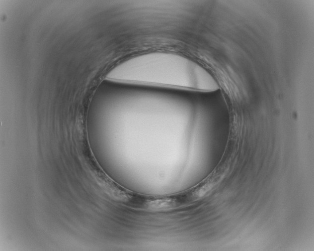 X0000073920461200608111009