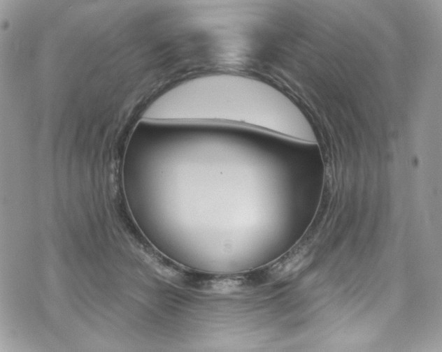 X0000073920462200608111009