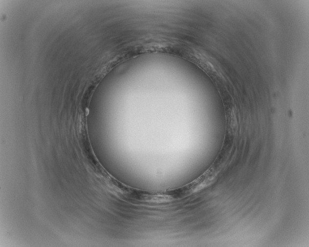 X0000073920463200608111009