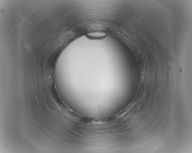 X0000073920464200608111009