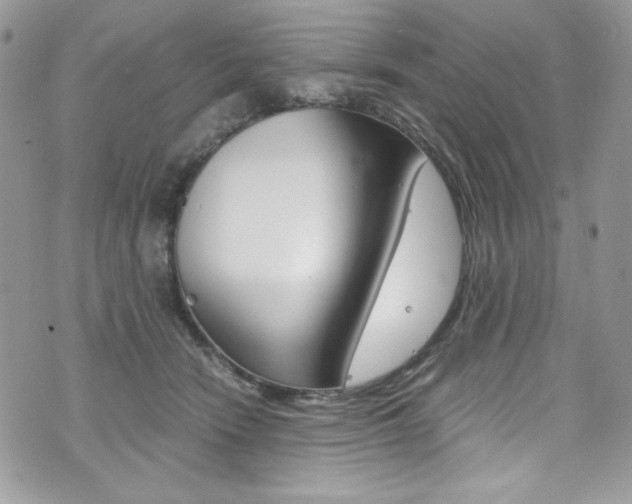 X0000073920466200608111009