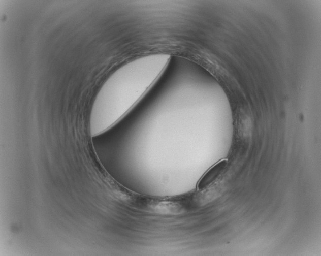 X0000073920467200608111009