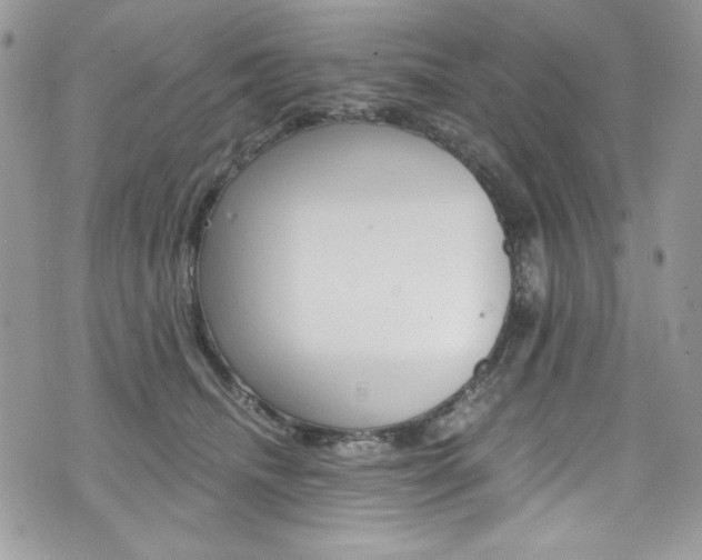 X0000073920468200608111009