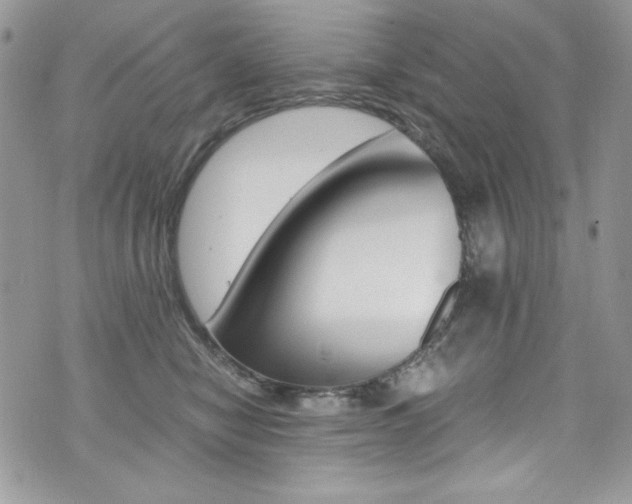 X0000073920470200608111009