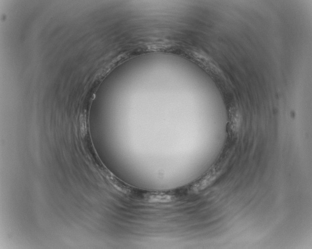 X0000073920471200608111009