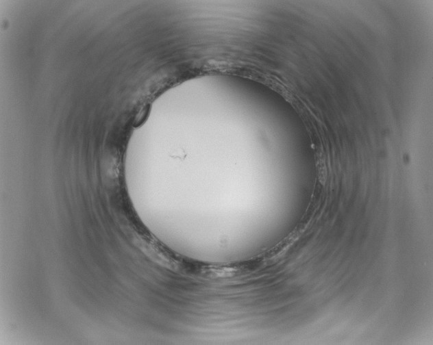 X0000073920472200608111009