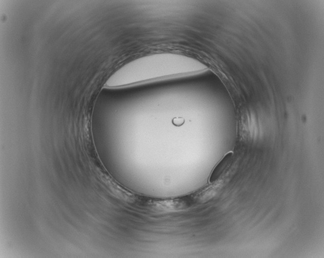 X0000073920473200608111009