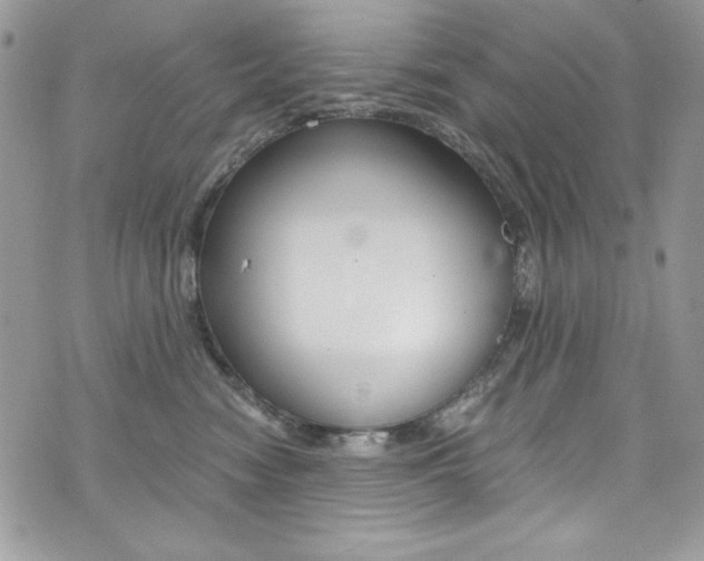 X0000073920474200608111009