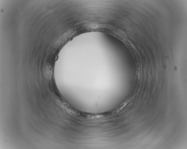 X0000073920476200608111009