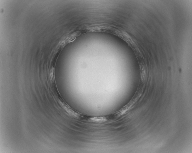 X0000073920477200608111009