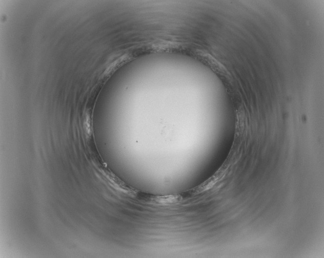 X0000073920479200608111009