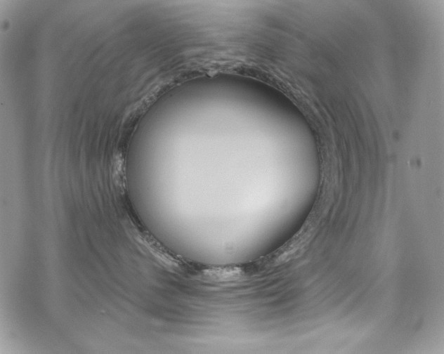 X0000073920480200608111009