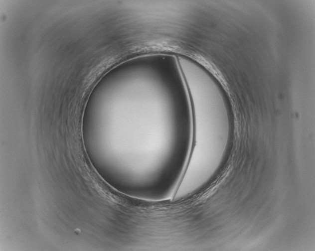 X0000073920481200608111009