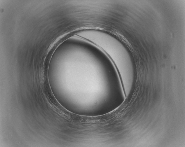 X0000073920484200608111009