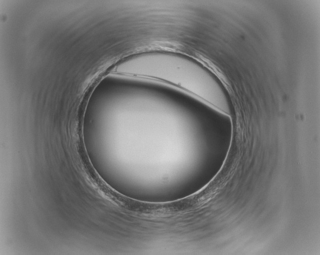 X0000073920485200608111009