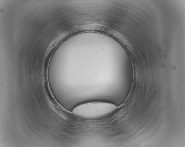 X0000073920486200608111009