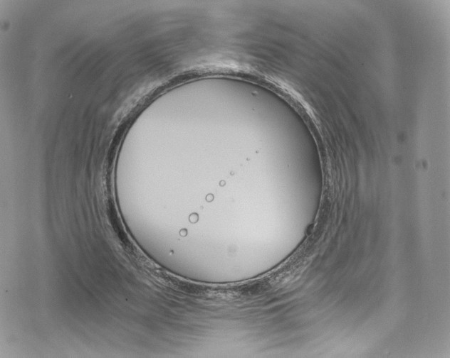 X0000073920487200608111009