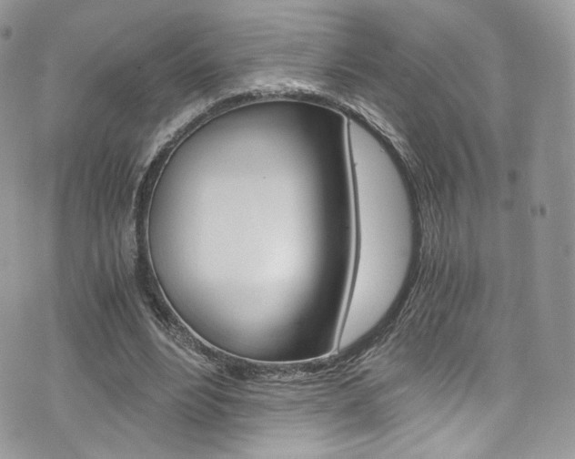 X0000073920488200608111009