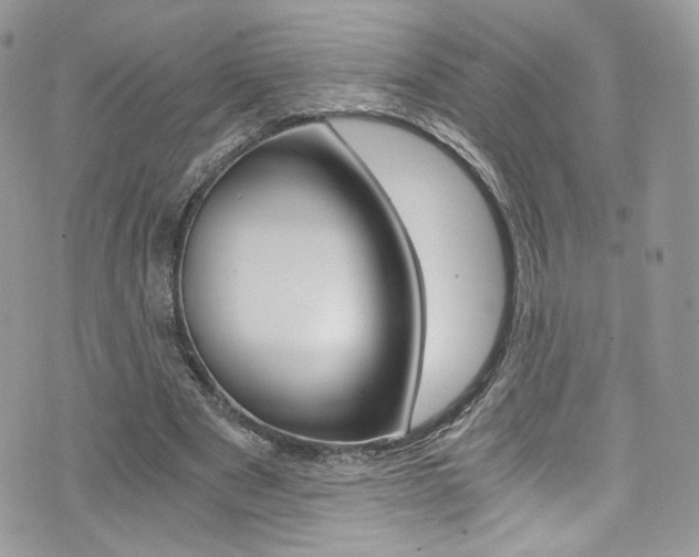 X0000073920489200608111009