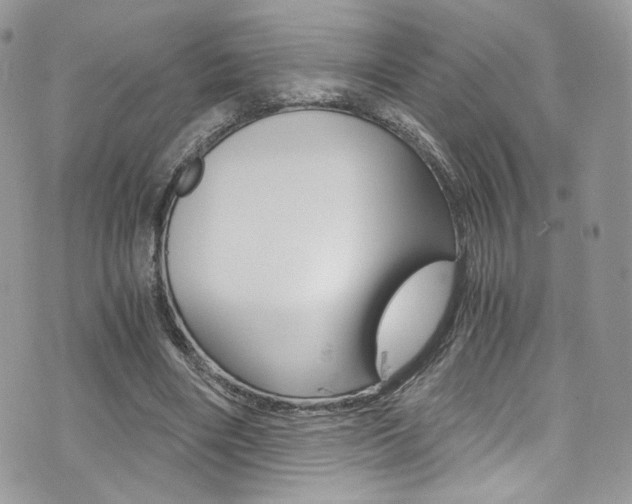 X0000073920490200608111009