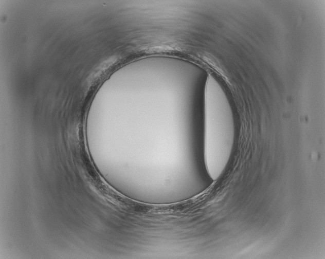 X0000073920491200608111009